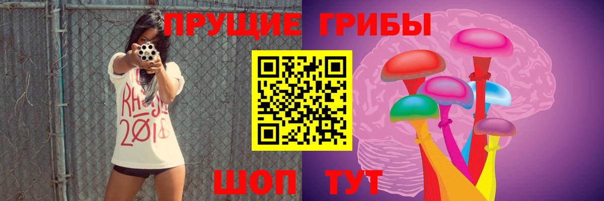 Псилоцибиновые грибы Psilocybe Сегежа