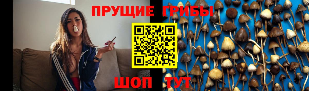 Сегежа  даркнет сайт  Вход с VPN  Галлюциногенные грибы Magic Shrooms 